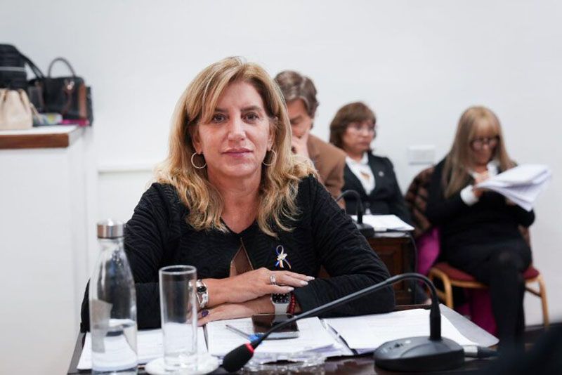 Martínez: la reforma incomoda a sectores de poder