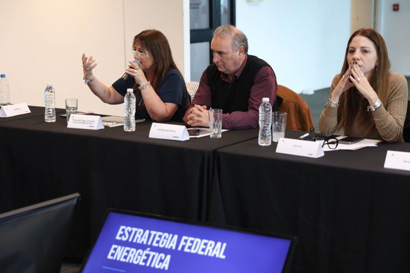 Reclamo por una planificación energética más federal | Diario del Fin del Mundo