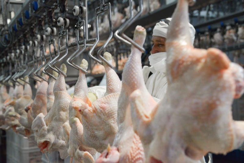 El pollo ya supera a la carne vacuna en consumo