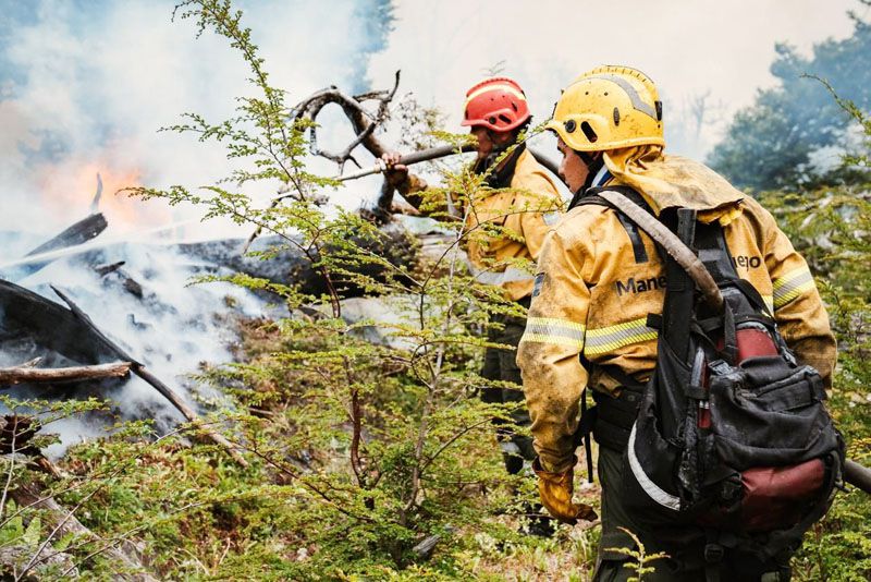 Demora en la implementación del Fondo de Manejo del Fuego | Diario del Fin del Mundo
