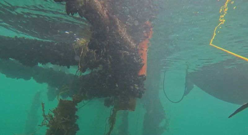ANPYN cierra muelle por inseguro y habilita operación en otro inseguro | Diario del Fin del Mundo