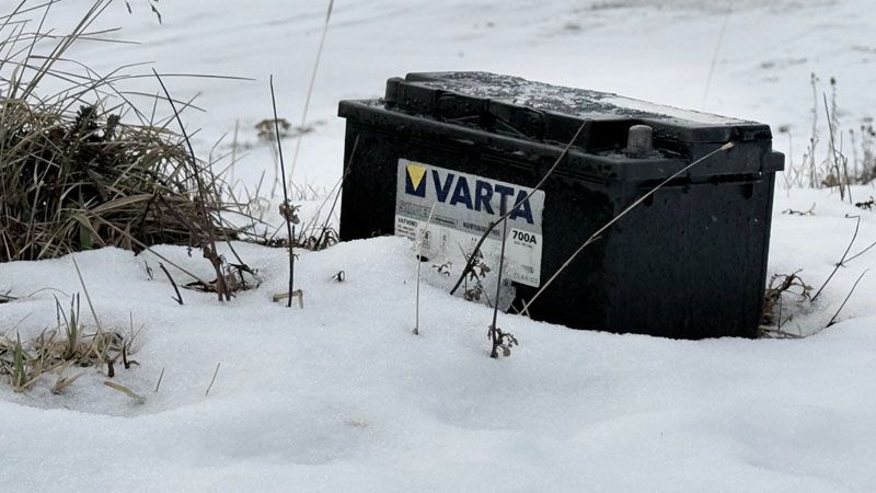 El idiota ambiental