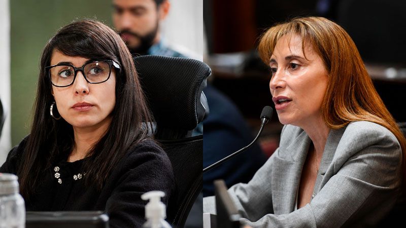 “Milei quiere rematar Ushuaia y los senadores libertarios son los escribanos”