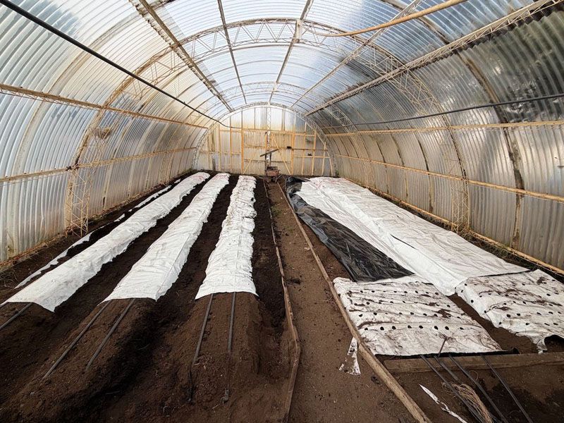 Río Grande avanza con su nueva chacra agroexperimental