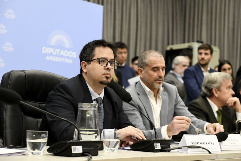 Pauli: ¨Lo que hace Catena es criminal¨