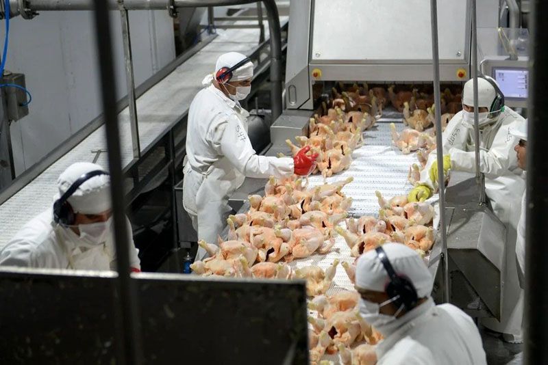 Temen cierre definitivo de Granja Tres Arroyos