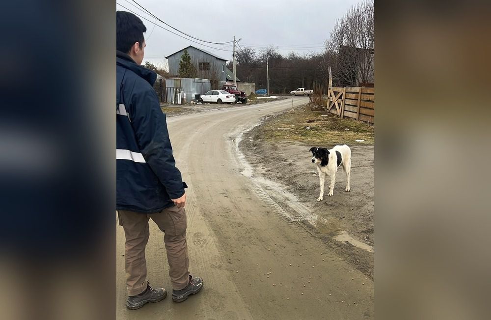 Intensifican los operativos con 21 actas de infracción y la captura de canes 