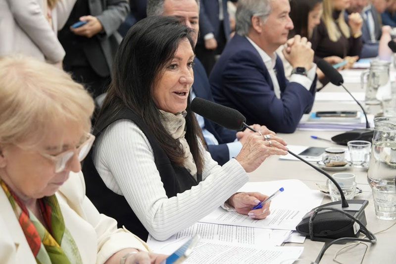 El oficialismo logró dictamen en el proyecto sobre Discapacidad