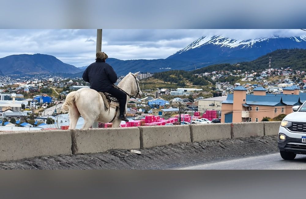 Tracción a sangre, pero por la bicisenda