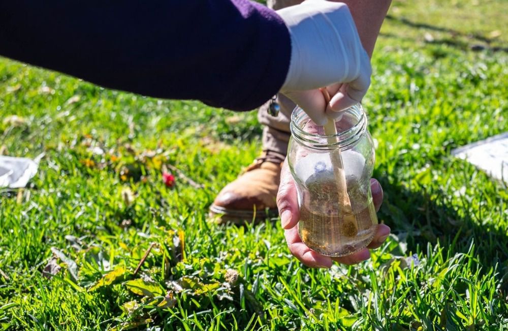 Realizan un muestreo de parásitos en materia fecal canina