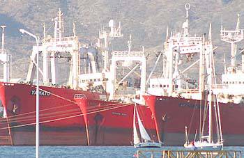 Actividad pesquera: magra recaudación ante facturación millonaria