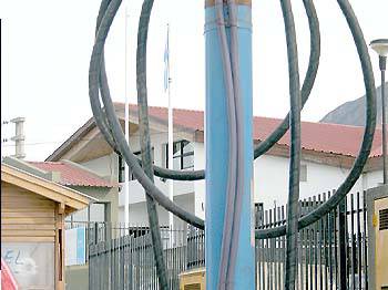 ¿Será una anaconda?