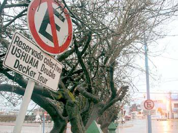 Difícil estacionar entre discos