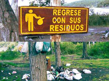 Arbolito de Navidad Fueguino