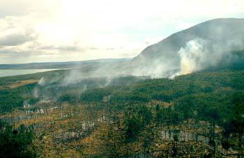Incendio forestal sin control