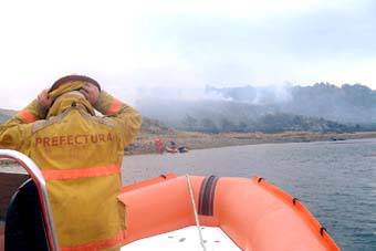Apagan incendio forestal en isla Gable