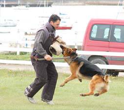 Exitosa final del Regional Austral