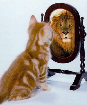 La soberbia no es grandeza sino hinchazón