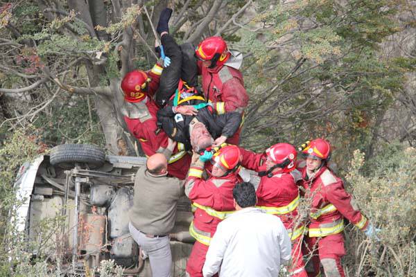 Cayó con su auto a un barranco y quedó arriba de un árbol