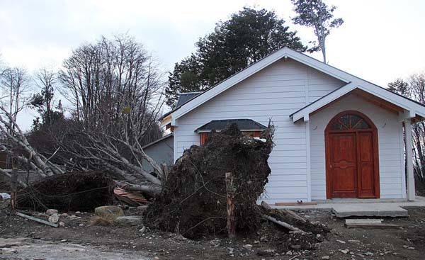Caída de árboles, cables de electricidad y voladura de techos