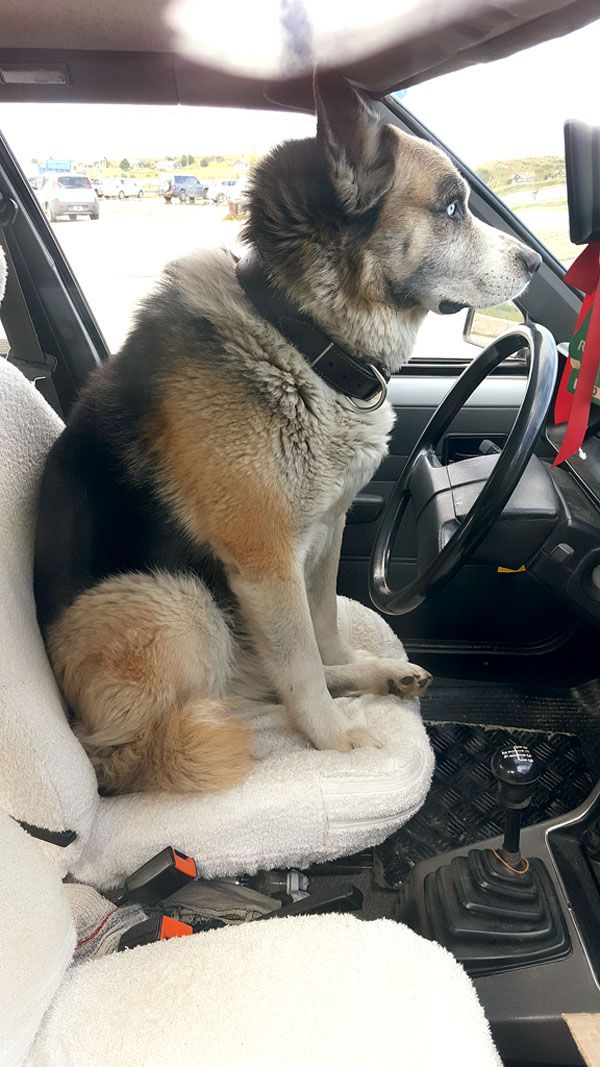 ¡Un perfecto conductor!