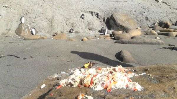 Un poco de sentido común