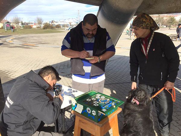 85 perros fueron chipeados y 5 resultaron adoptados el fin de semana