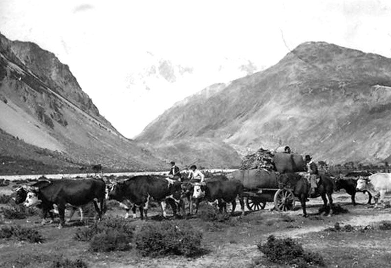 Dejan sin efecto concesiones de tierras por irregularidades 