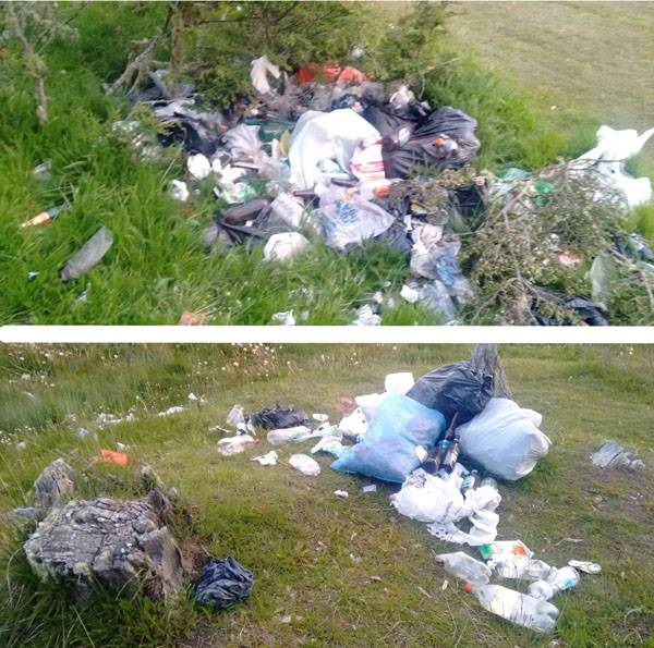 Confirmado: No hay vacuna contra la imbecilidad!!!