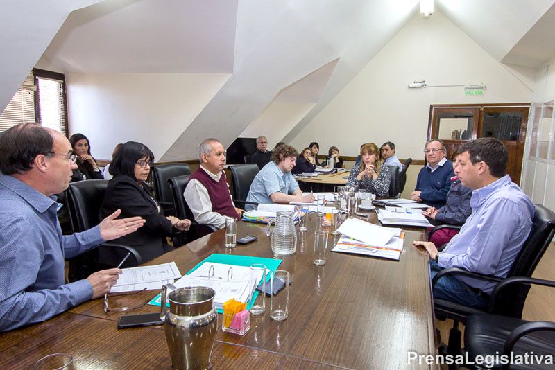 La Legislatura abordó la reforma para extender los mandatos en el IPAUSS