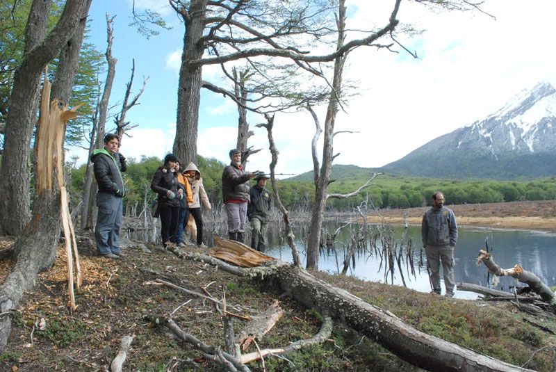 Brindan taller sobre especies exóticas invasoras a periodistas y comunicadores 