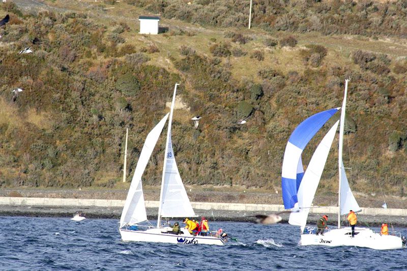 Regata Aniversario de Puerto Williams