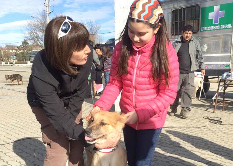 Zoonosis realizará una nueva jornada de Tenencia Responsable de Mascotas