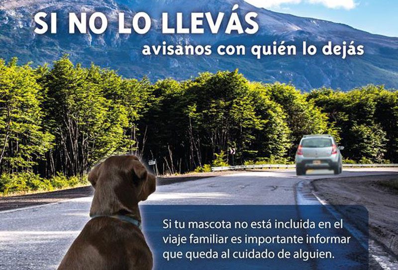 Relevamiento de Zoonosis: Hay casi 32 mil perros en Ushuaia