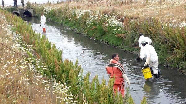 Sacaron 30 metros cúbicos de basura de la Bahía Encerrada