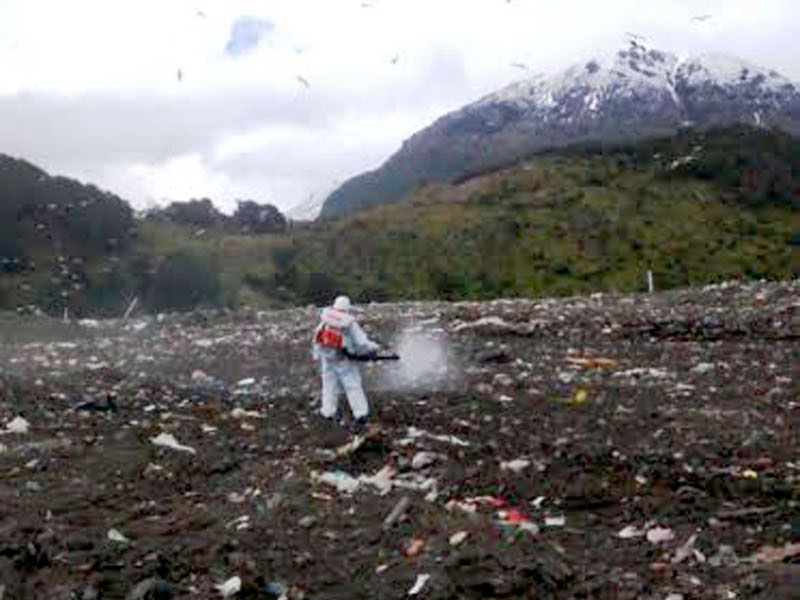 Realizan control de plagas y saneamiento en el relleno sanitario 