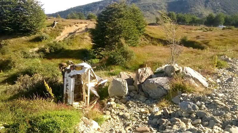 Otra especie exótica invasora 