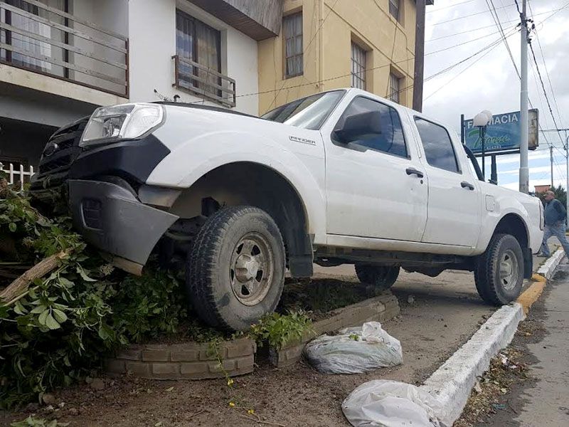 Camioneta arrancó un árbol tras violenta colisión