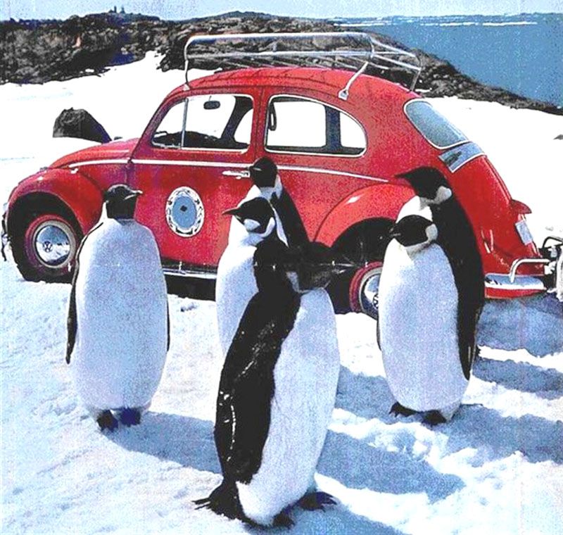 Un “Escarabajo” presta servicios a exploradores antárticos