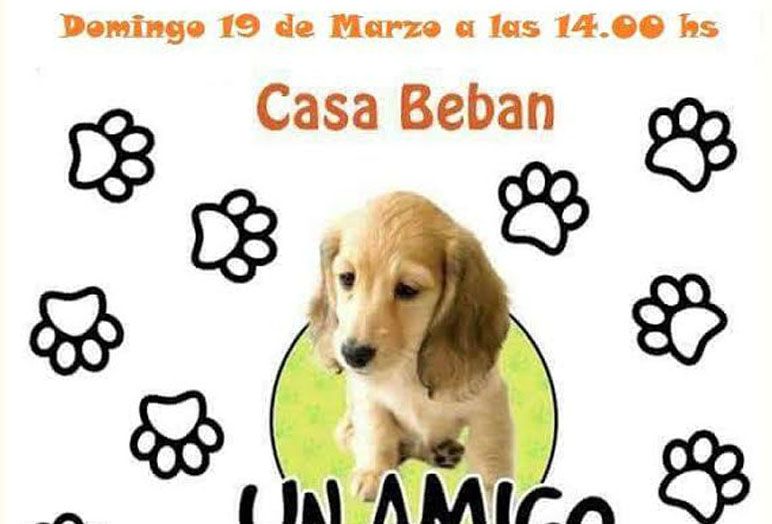 Se realizará este domingo una nueva ‘Caninata’ en Ushuaia