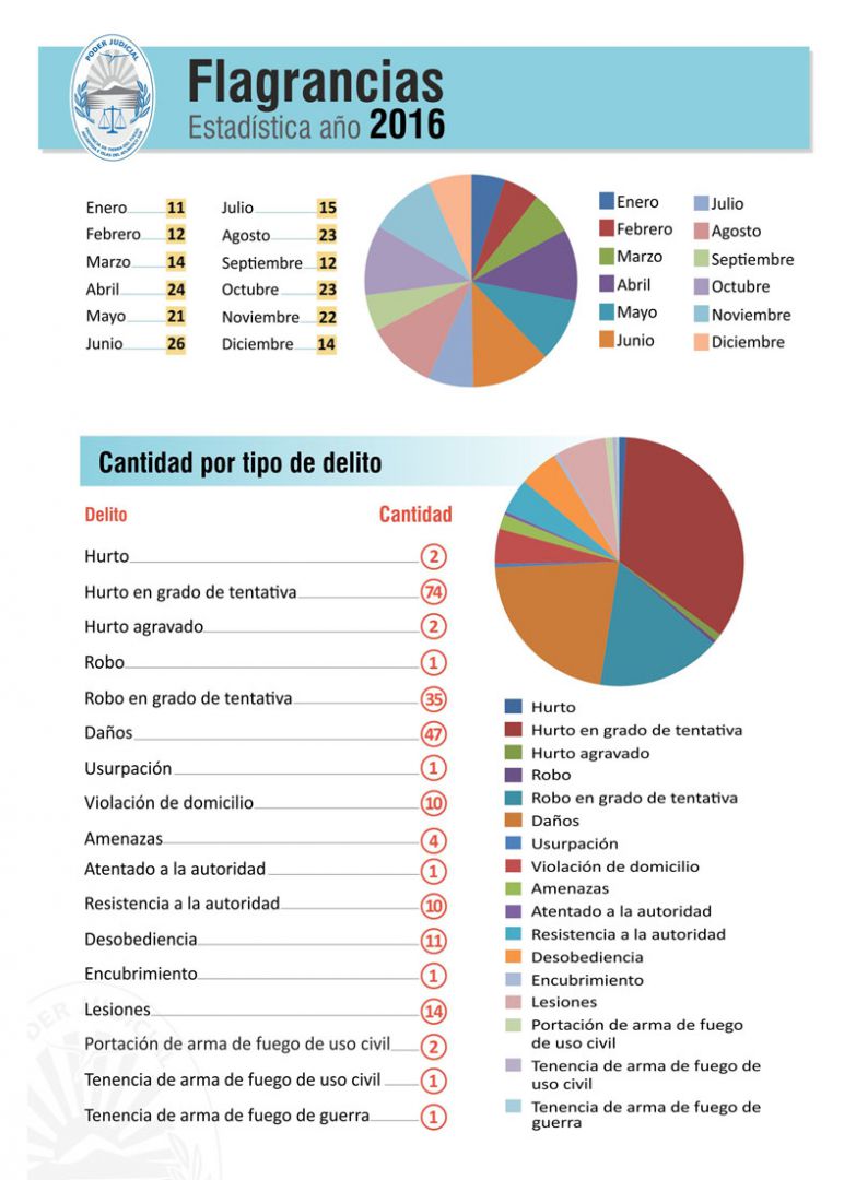Río Grande registró 217 casos de flagrancia en 2016