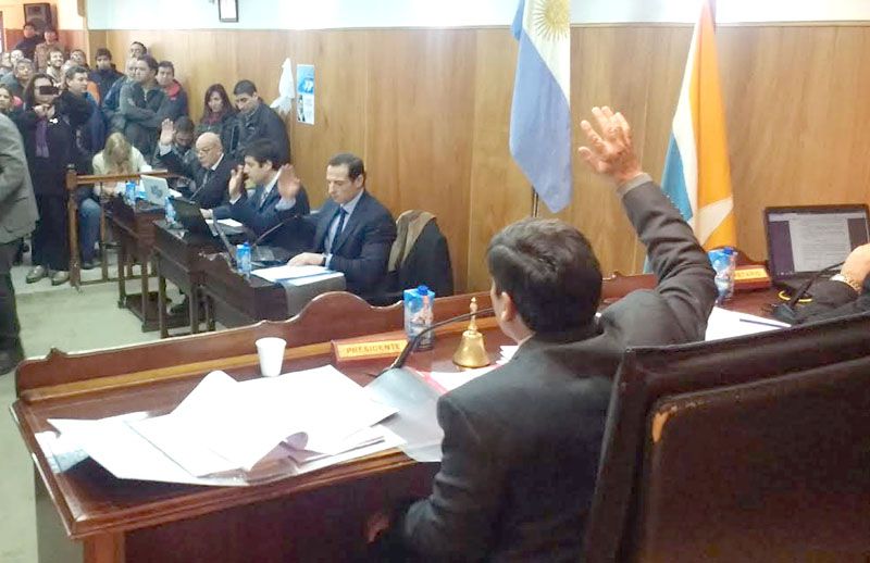 Se declaró la Emergencia Socio- Ambiental en Ushuaia por la proliferación de perros sueltos