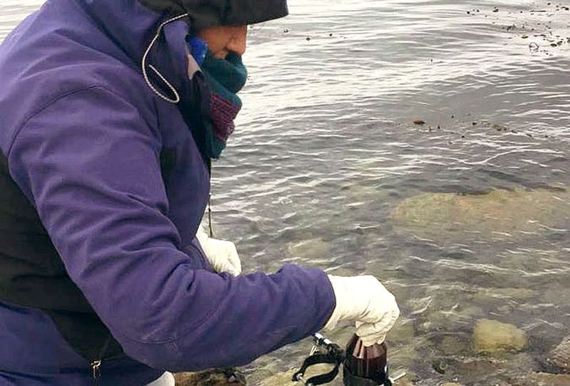 Concluyó la primera toma de muestras en Bahía Encerrada y adyacencias de Bahía Ushuaia 