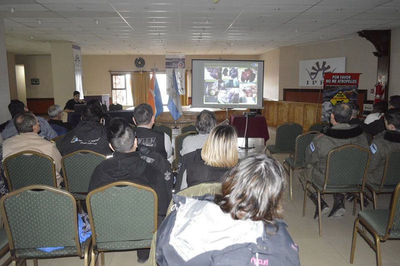Se realizó con éxito la primera capacitación en primeros auxilios caninos