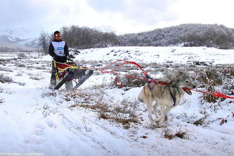 Los huskies dejaron su huella en los valles