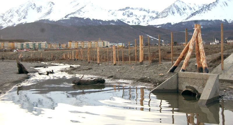 Mañana habrá una jornada de limpieza de Bahía Golondrina