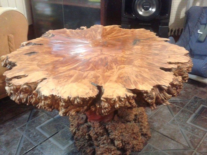 Brindan detalles de la Muestra Nacional de Madera del Fin del Mundo 