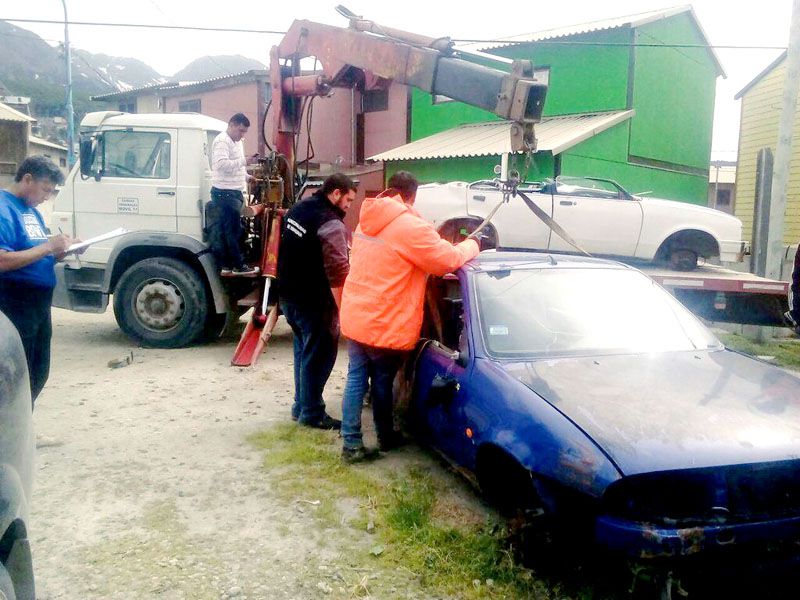 Medio Ambiente municipal interviene en diferentes sectores de la ciudad