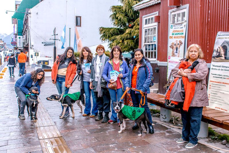 Voluntarios de Zoonosis concientizaron sobre tenencia responsable de mascotas 