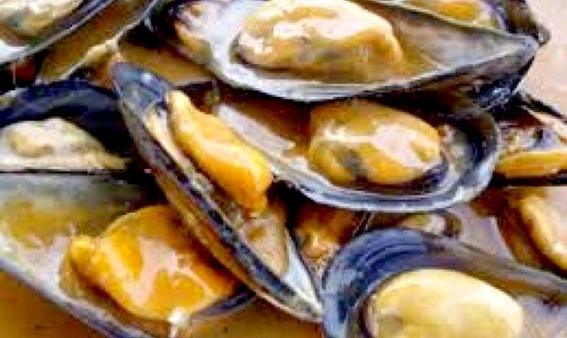 Ampliaron la veda por marea roja a todo el litoral marítimo fueguino